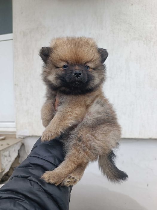 От Стара Загора сме