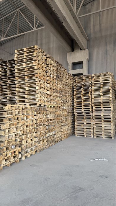 120/80 rasiski paddonlar