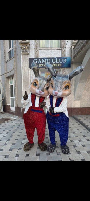 Animator mishka 24/7