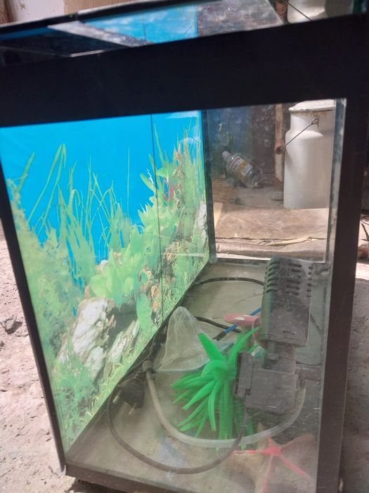 Аквариум с компрессором
