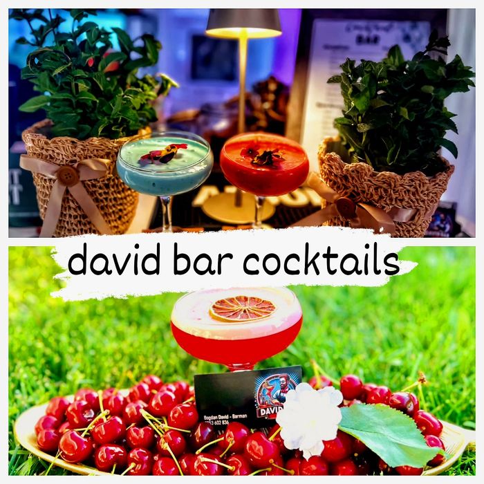 Bar mobil/ Cocktail bar