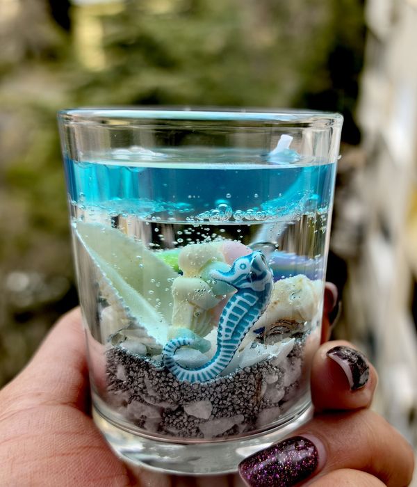 Морски Чаши  СВЕЩИ