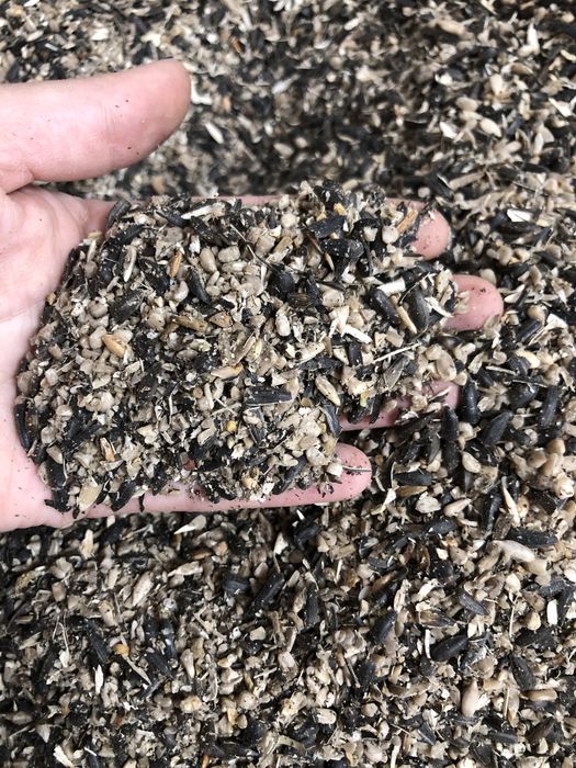 Дробленная семечка