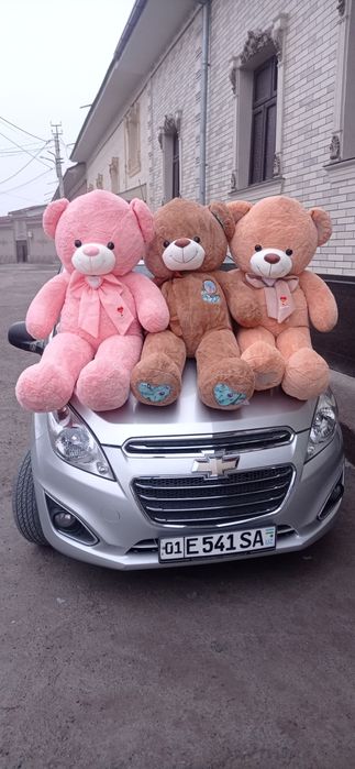 Teddi 1+1 Aksiya Teddy Teddiy