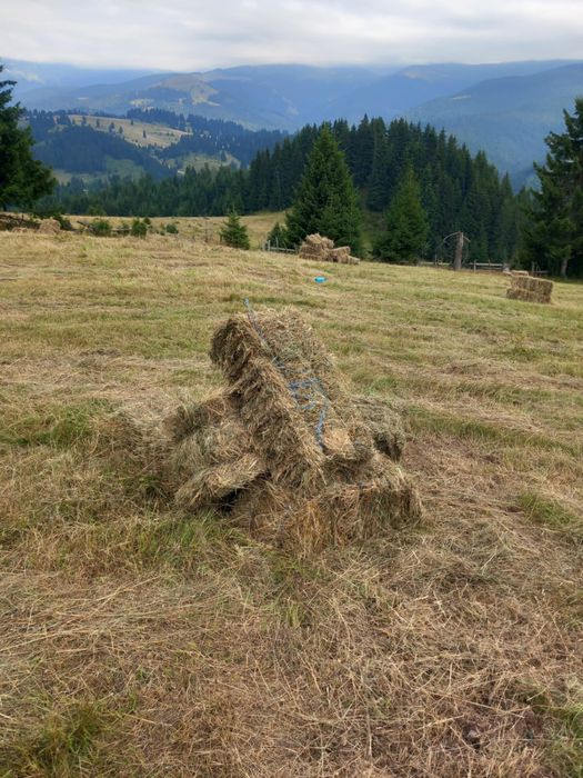 Vând baloți de otavă din livadă de munte