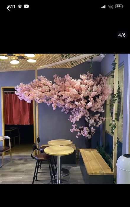 Dikarativni daraxtlar