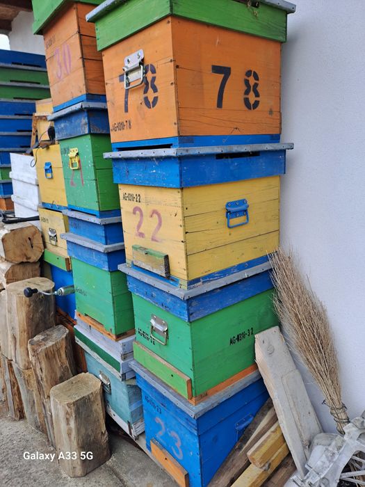 Inventar apicol,rame,cutii,roinite