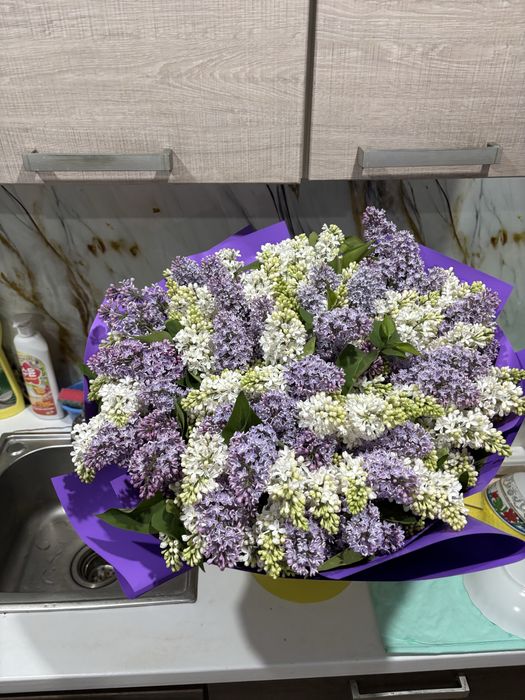 Цветы апрельский