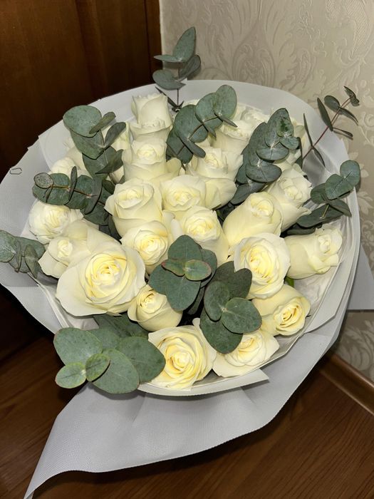 белая роза — свежие