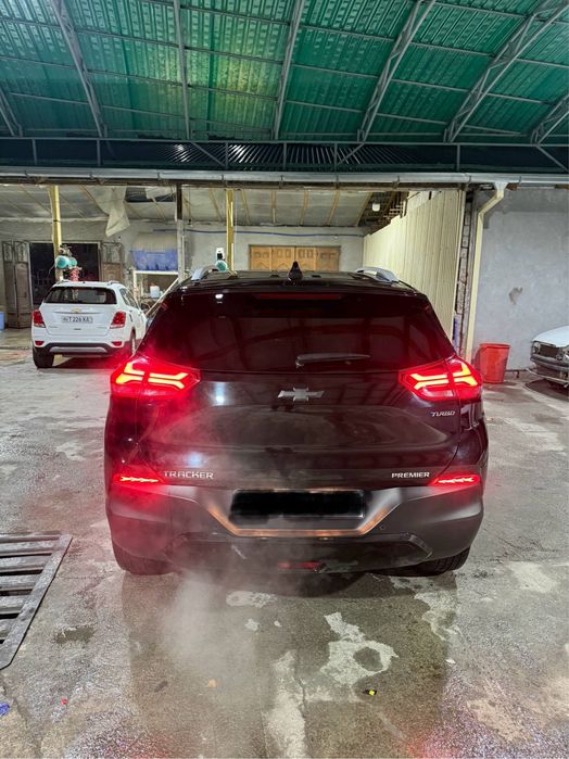 Treker primier + 2024