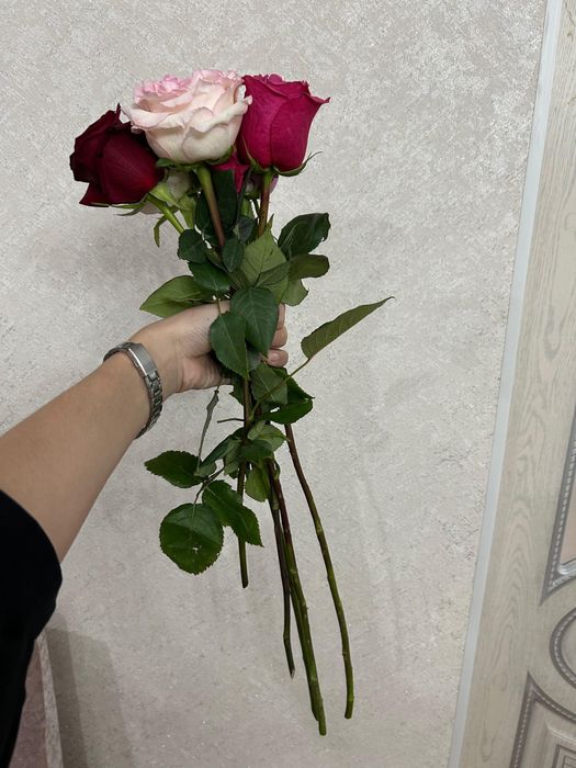 1 шт роза 600 тг