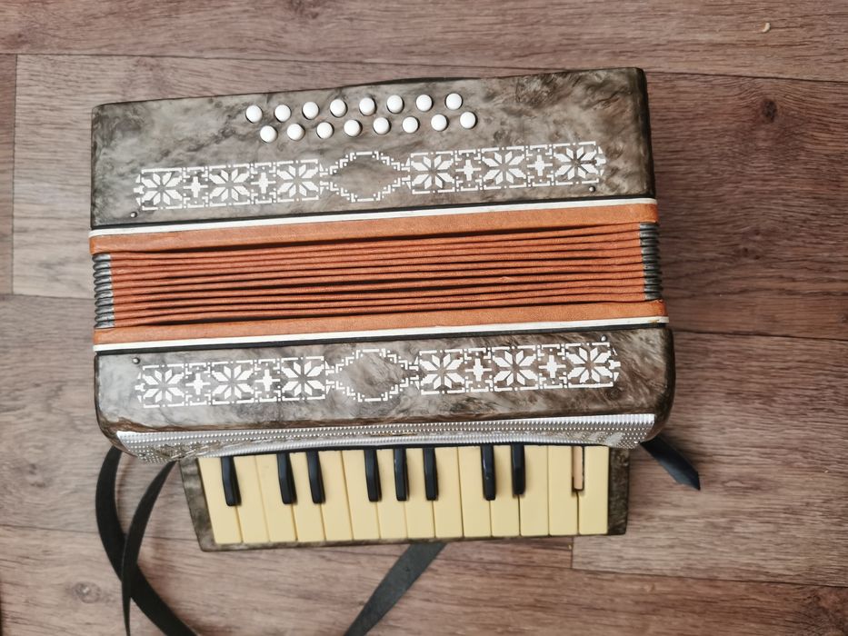 детский аккордеон МАЛЫШ