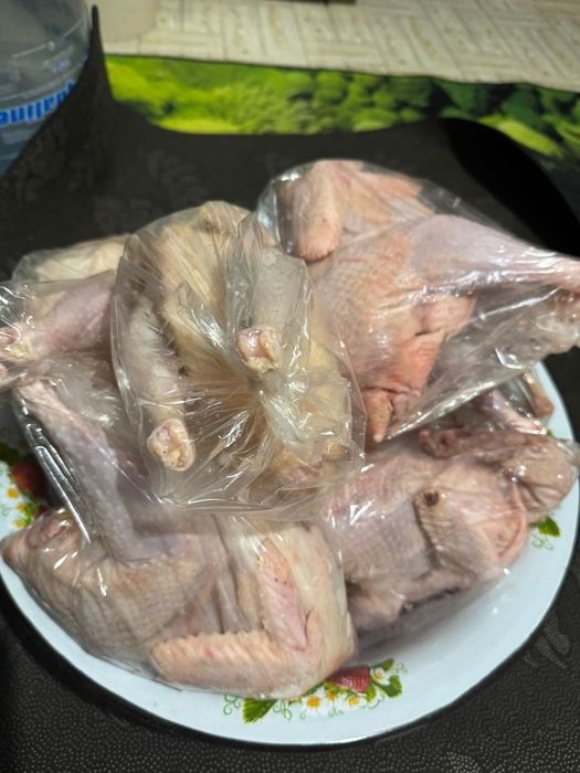 Свежий тауық еті сатылады