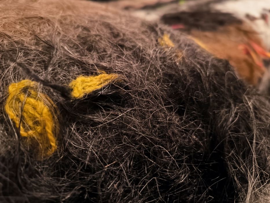 Родопско одеяло - Козяк