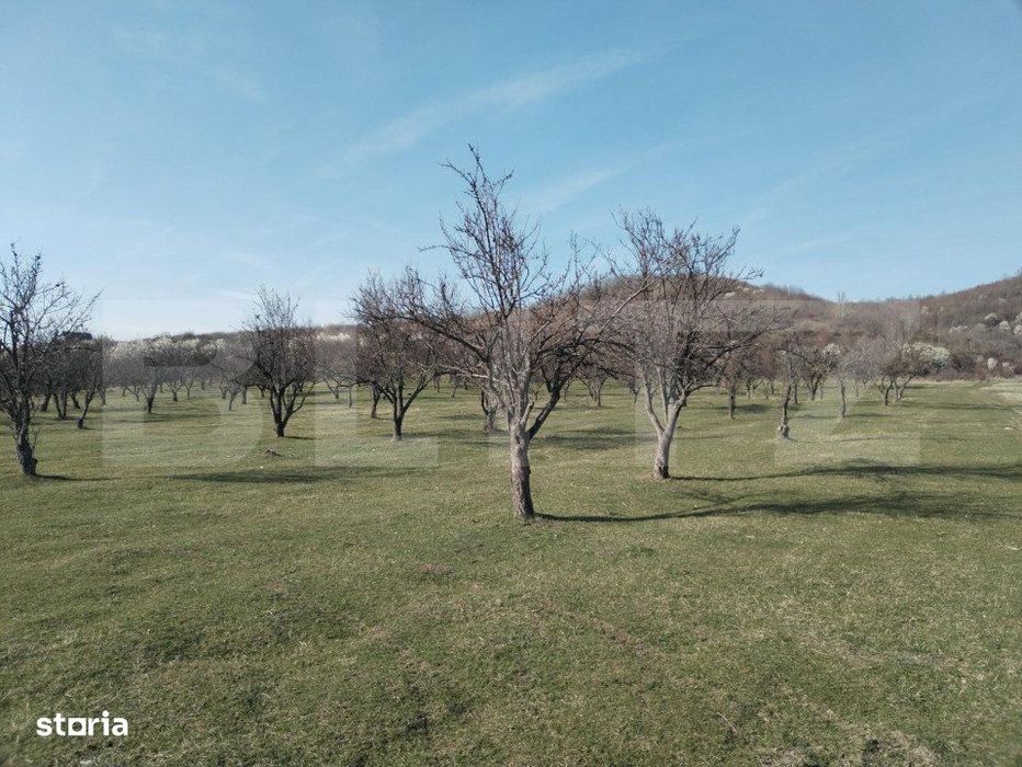 Teren intravilan cu suprafata de 9ha, Aninoasa
