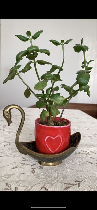 Бронзови фигурки различни