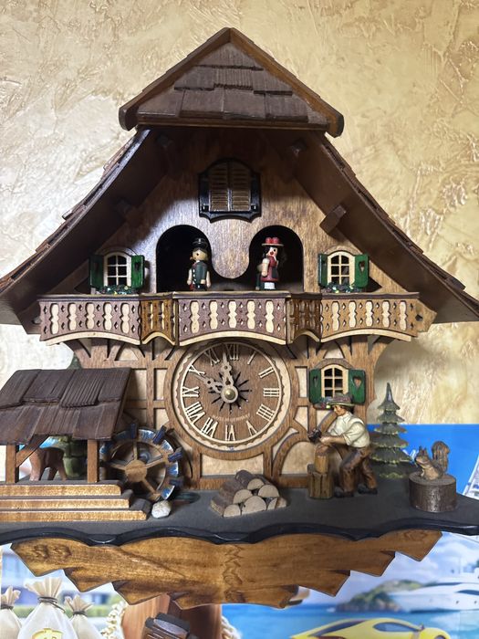 Домашние   Цасы