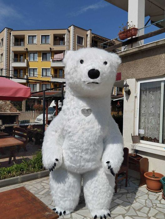 Бяло мече изненада Несебър