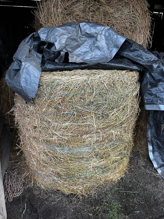 Baloți rotunzi de fân și lucernă