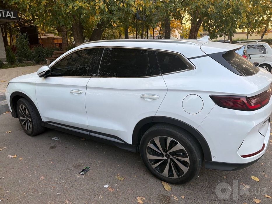 BYD чемпион 2023 йил