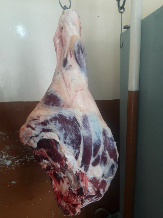 Doner go’sht Fast foodlar uchun yarim tayyor Lavash Go’sht