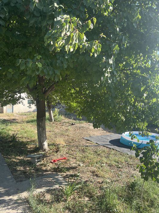 Дача Общество Восход Навоийская область Карманинский район