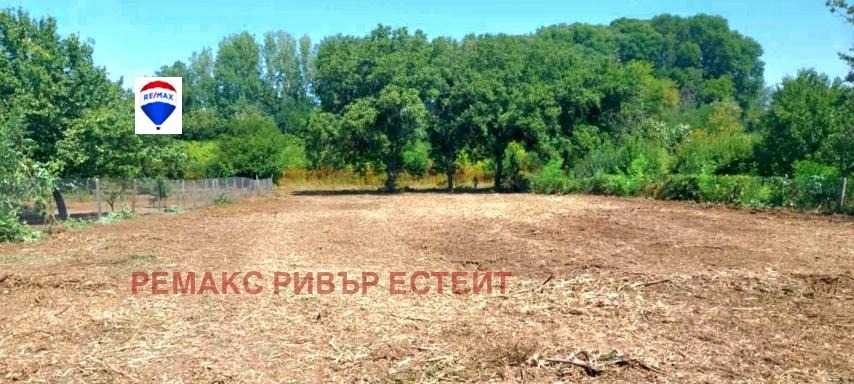 УПИ за продажба в с. Ряхово, обл. Русе