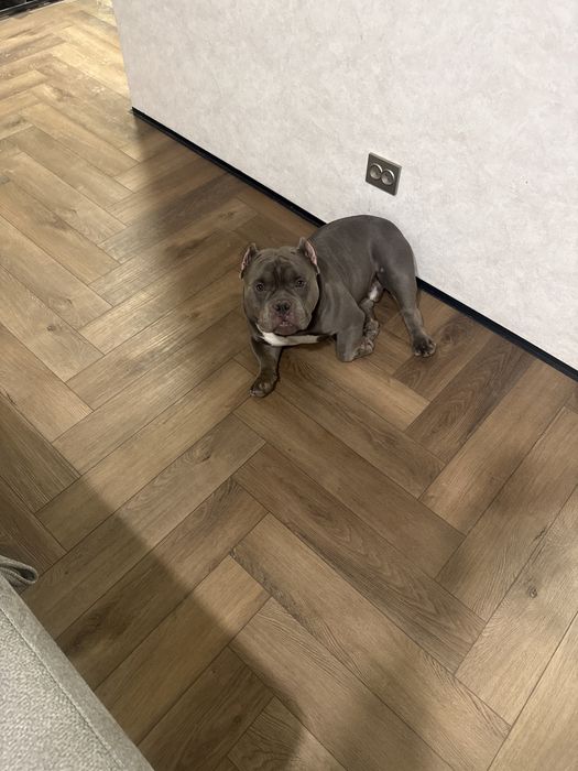 Амбуль для скрещивания. Для вязки.