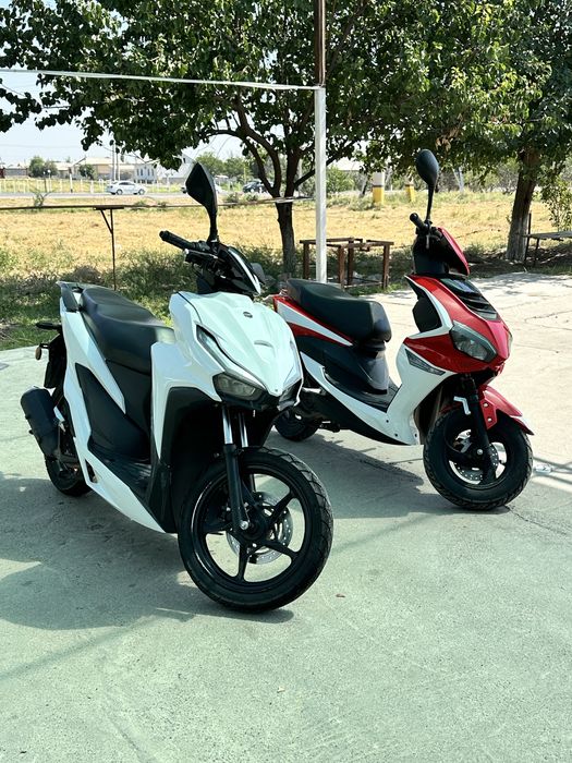 Oq rangi 600 $  kelshmiz otib berdigan joyi bor