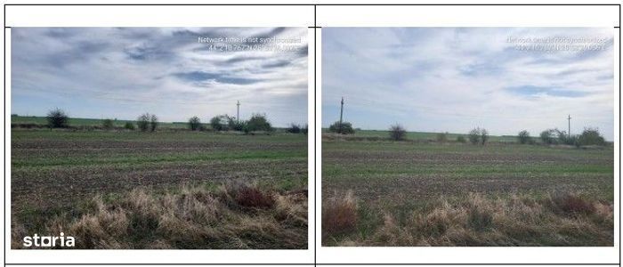 Teren extravilan Daia, Giurgiu - 3121101