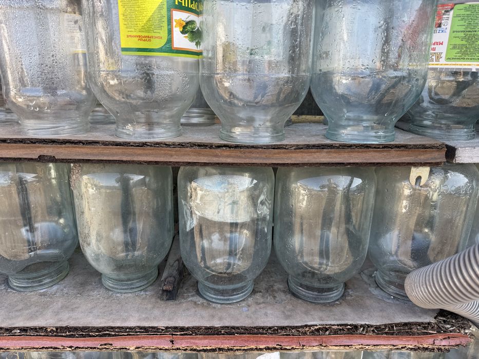 Банки двух литровые