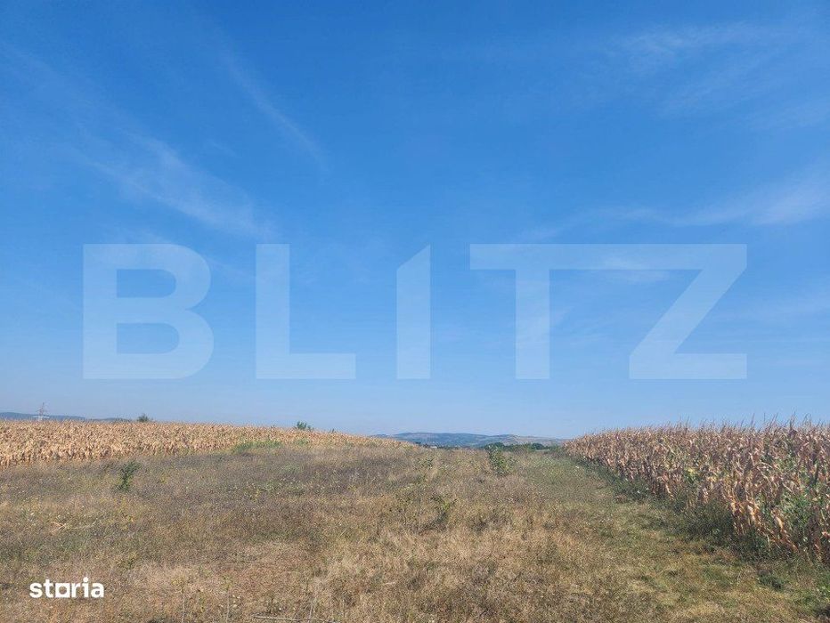 Teren extravilan,parcelat, 10180 mp, Oarda de Jos