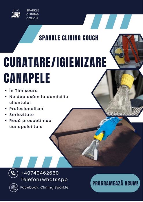 Curatare/igienizare canapele