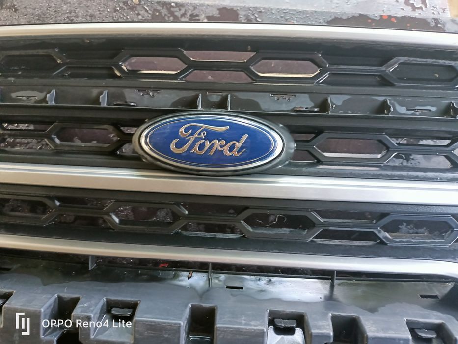 Grila radiator ecosport ford