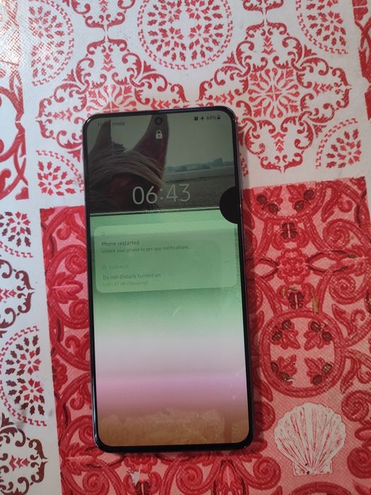 Samsung s21 ecran defect.codat