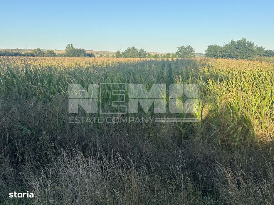 **Teren de vânzare Intravilan | 25 ari | Siret | E85