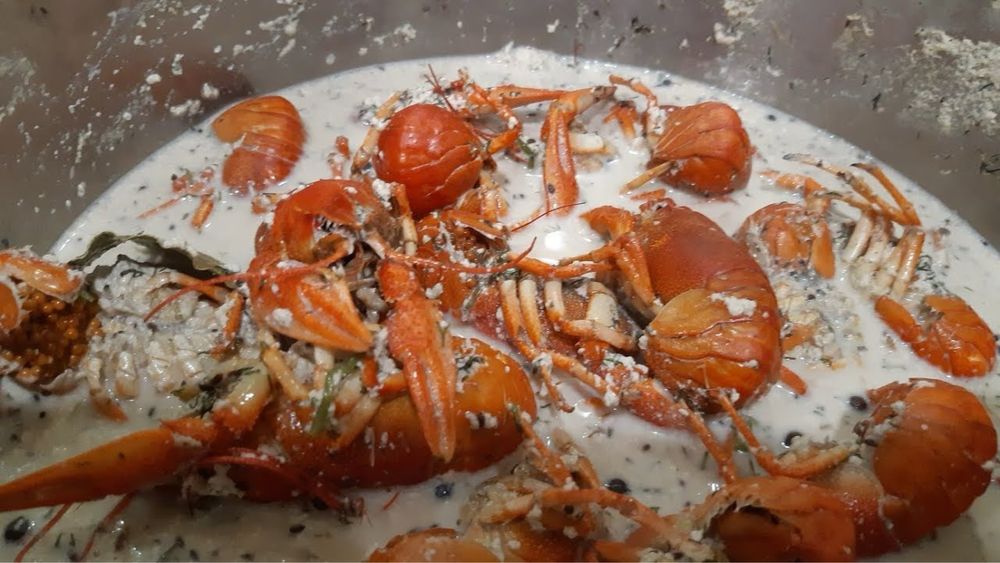 Живые раки,доставка раков,клешни краба,креветки