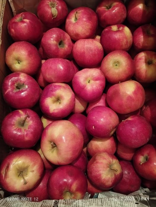 Продам фрукты с доставкой