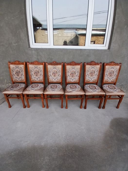 Prakat (prokat) stol stul zontik (4×8) shirma prakatga beriladi.