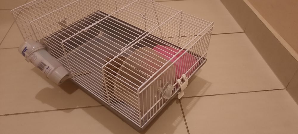 Vand cusca pentru hamsteri Savic