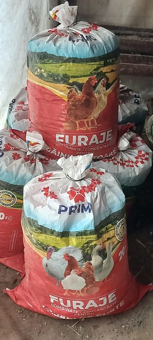 Îngrășământ natural Gaini