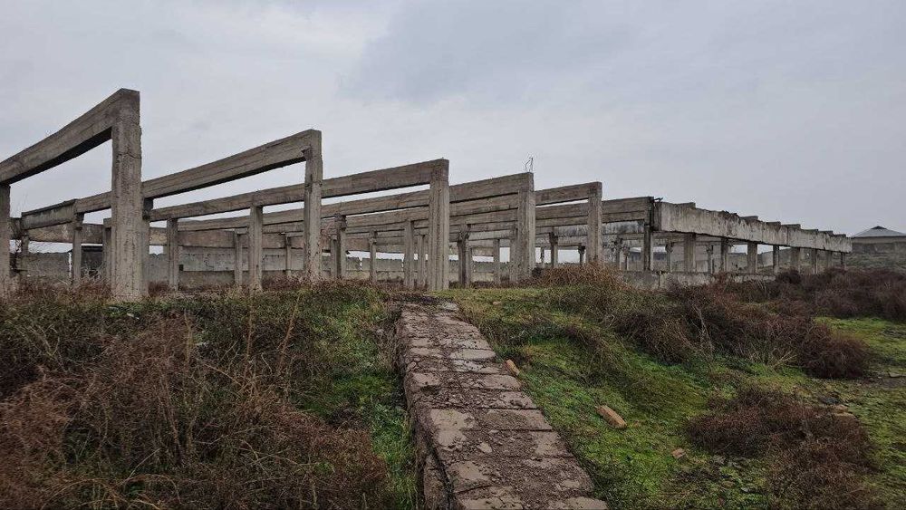 Продаётся База Ахангаран 50 сот 1 линия и База  Тойтепа 4,7 га