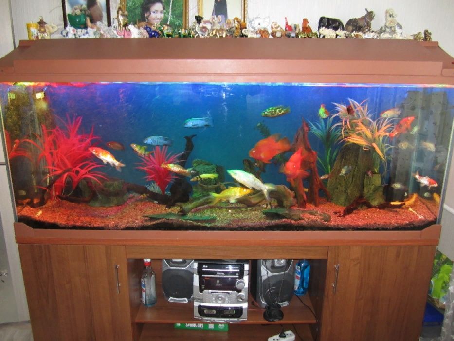 аквариум на заказ