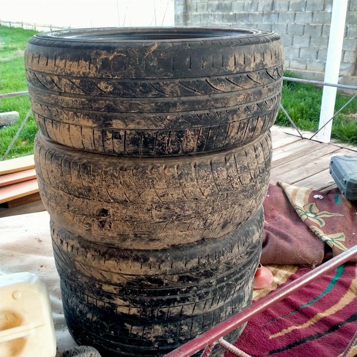 Шина дөңгелектер