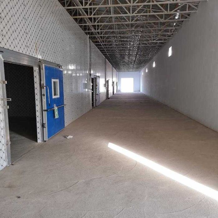 Muzlatgich omborxona