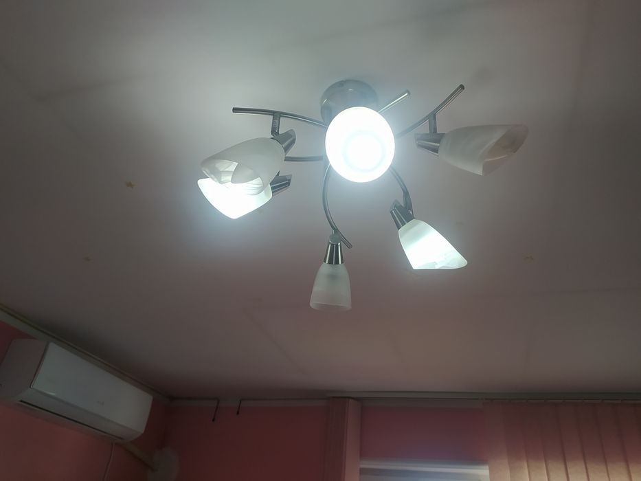 Иноксов Полюлей.