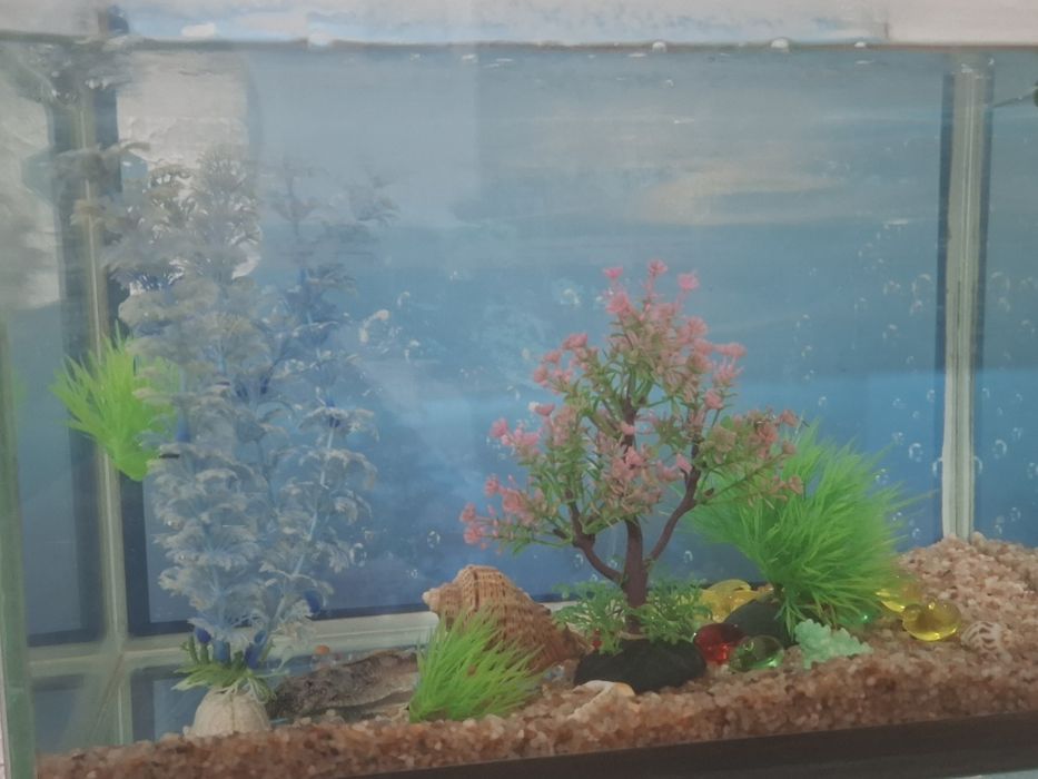 Продаю аквариум .