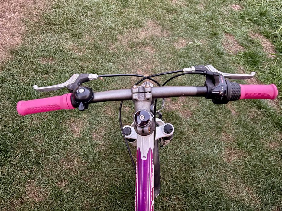 Bicicleta copii Bulls Tokee Street 20