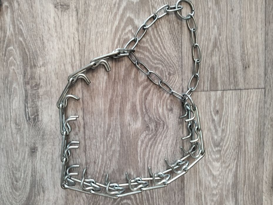 Ошейники для собак