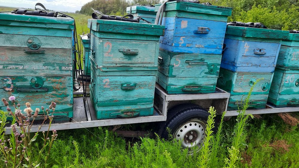 Пчолоинвентарь, б/у.